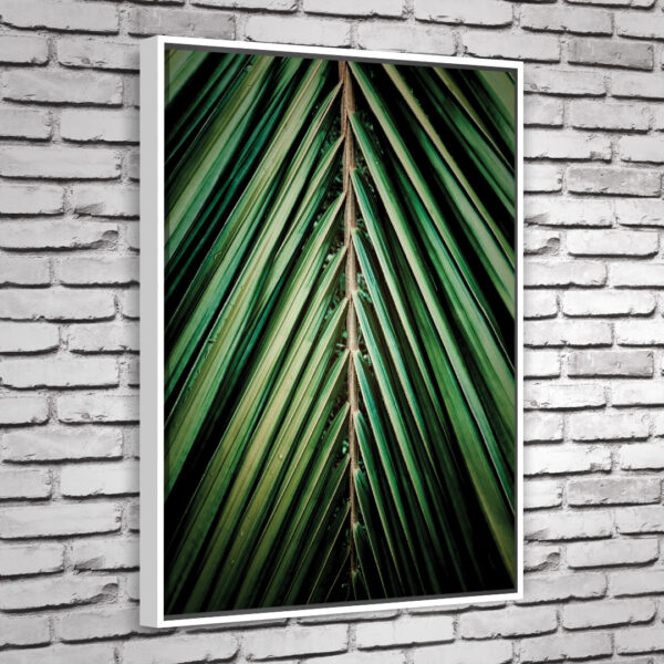 Quadro Areca - Image 3
