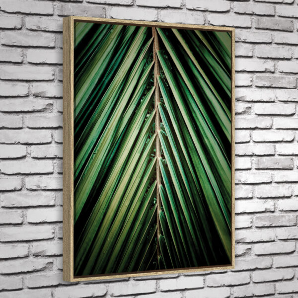 Quadro Areca - Image 4