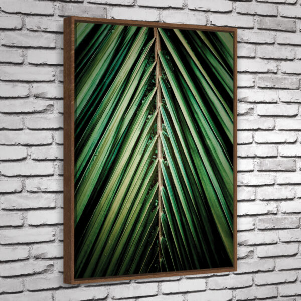 Quadro Areca - Image 5