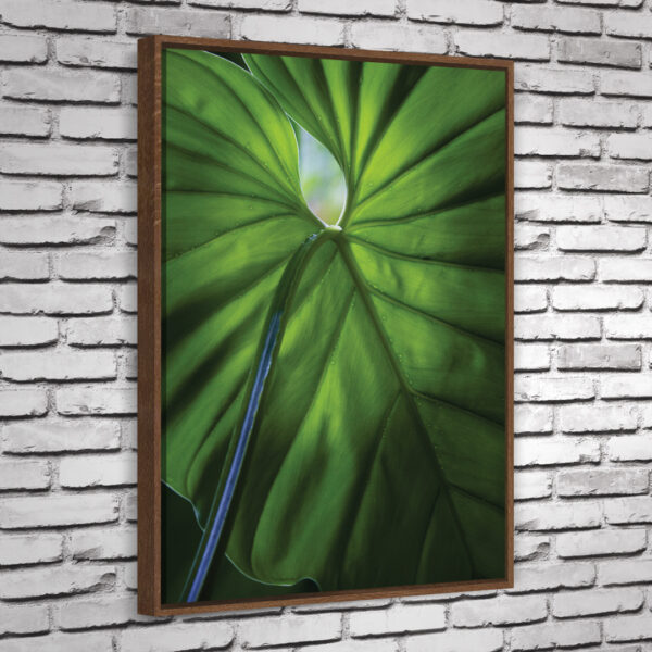Quadro Imbé - Image 5