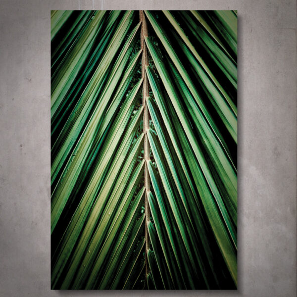 Quadro Areca - Image 2