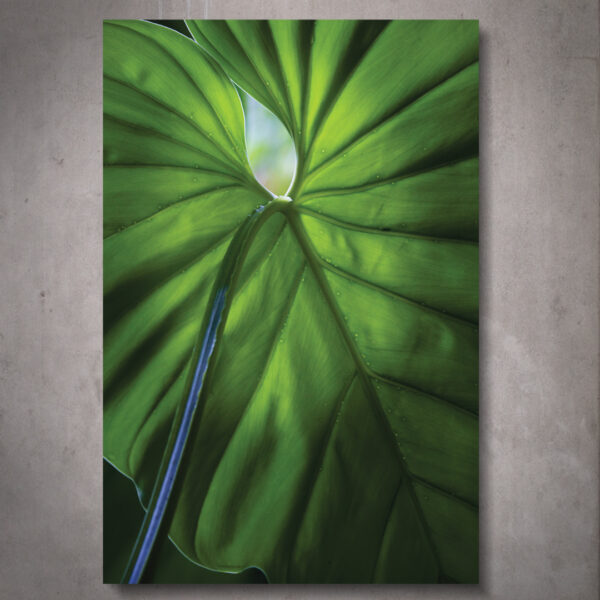 Quadro Imbé - Image 2