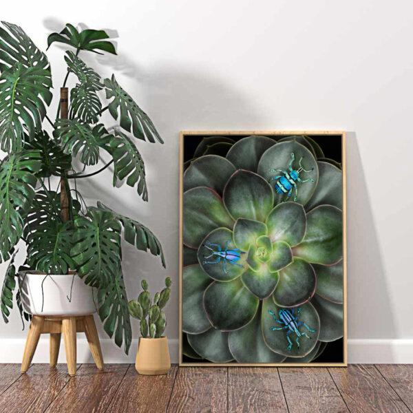 Quadro Guine