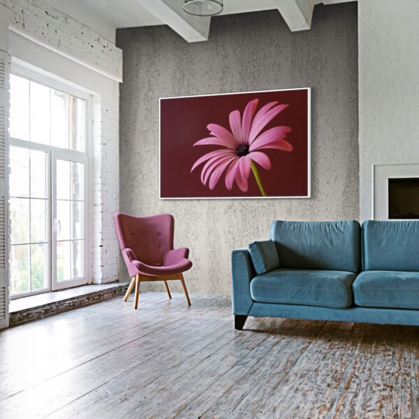 Quadro Pink Flower