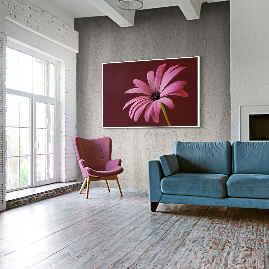ambientacao-pink-flower-horizontal-1.jpg