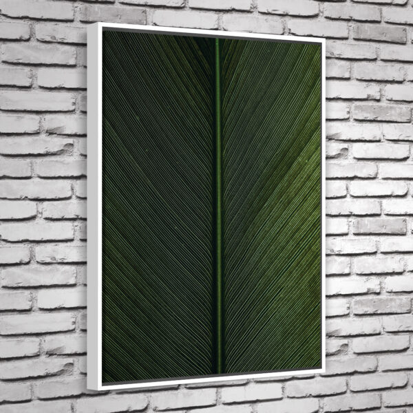 Quadro Cica - Image 3