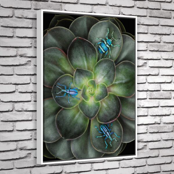 Quadro Guine - Image 3