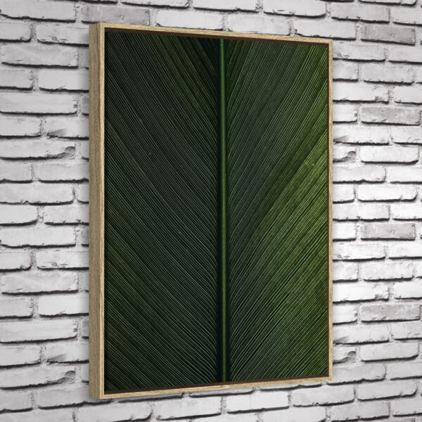Quadro Cica - Image 4