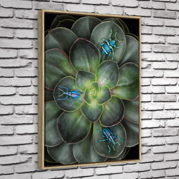 Quadro Guine - Image 4