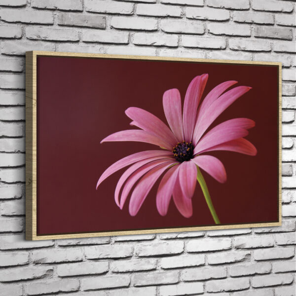 Quadro Pink Flower - Image 4