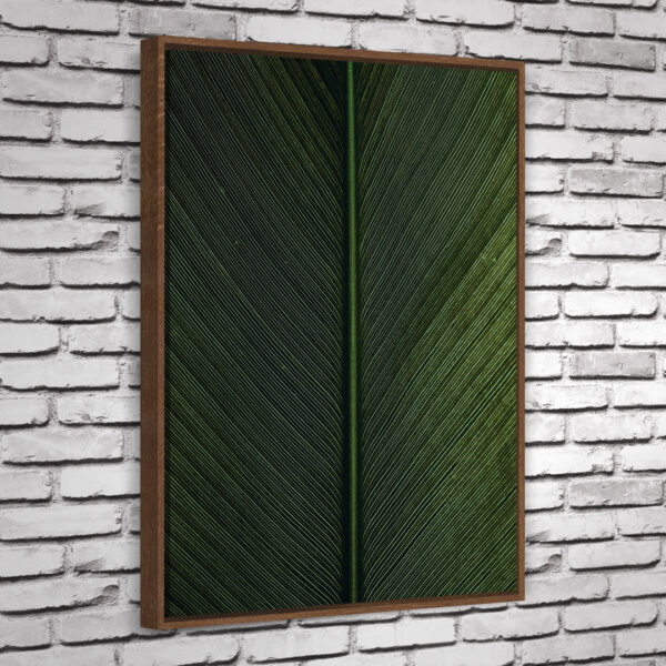 Quadro Cica - Image 5