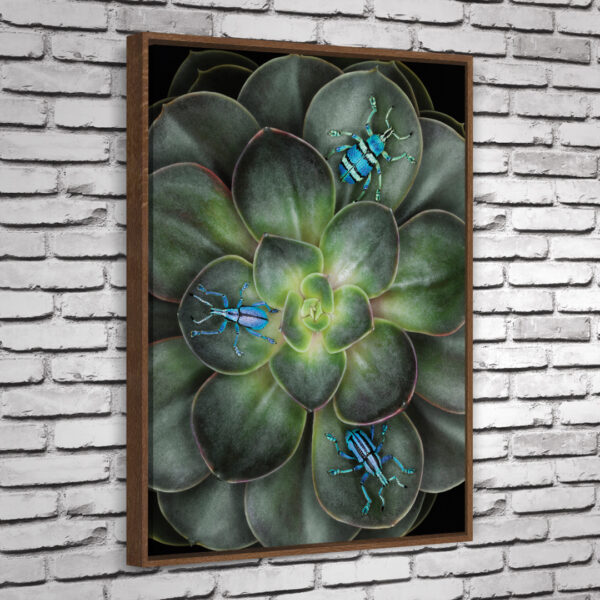 Quadro Guine - Image 5