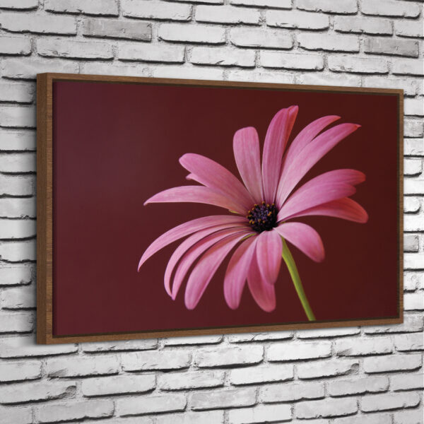 Quadro Pink Flower - Image 5