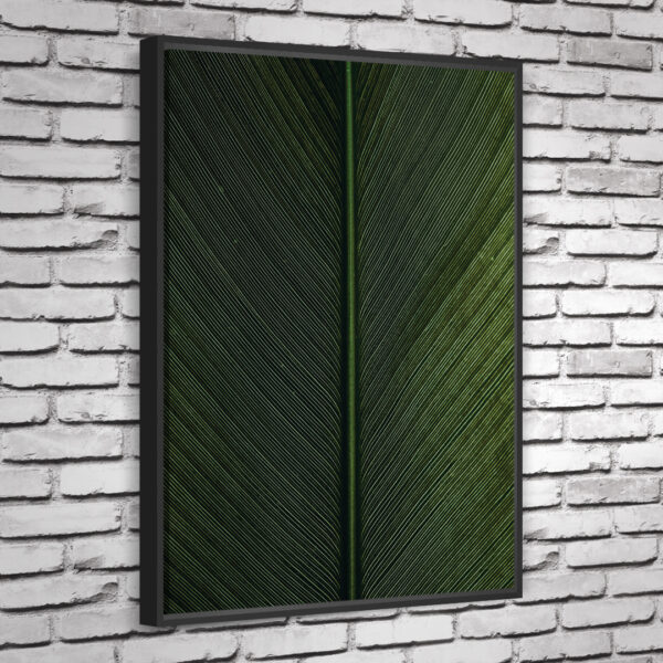 Quadro Cica - Image 6