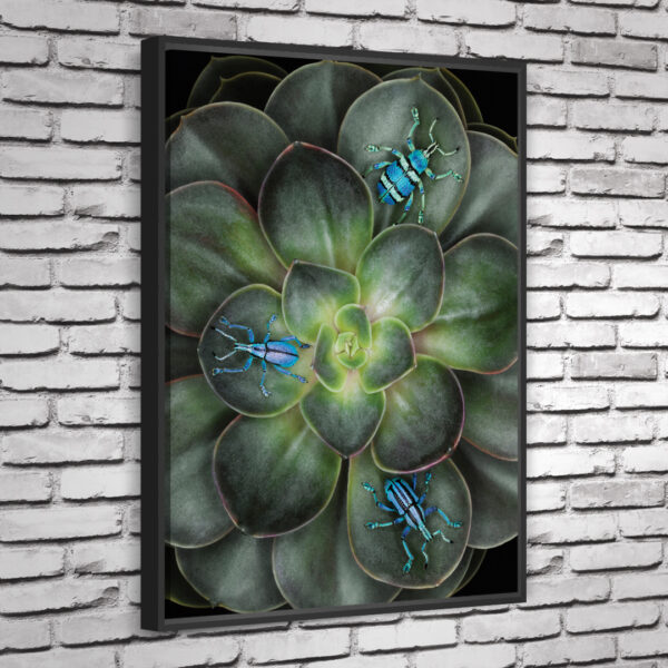 Quadro Guine - Image 6