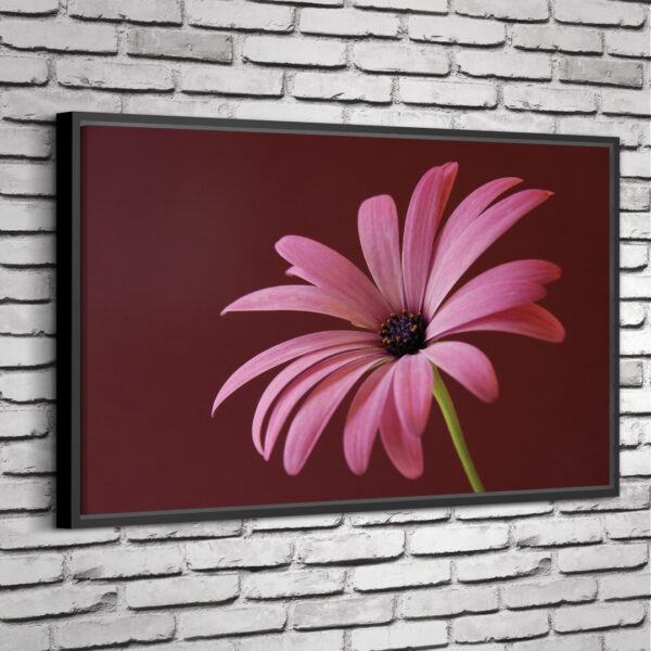 Quadro Pink Flower - Image 6