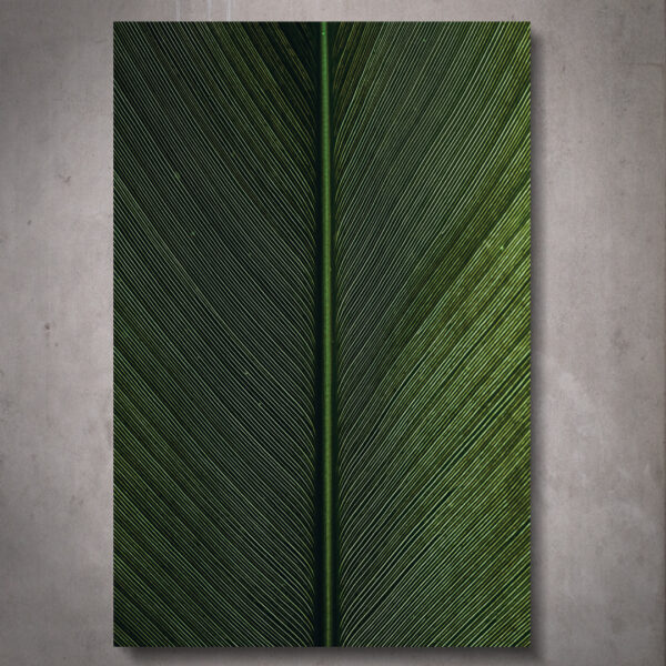 Quadro Cica - Image 2